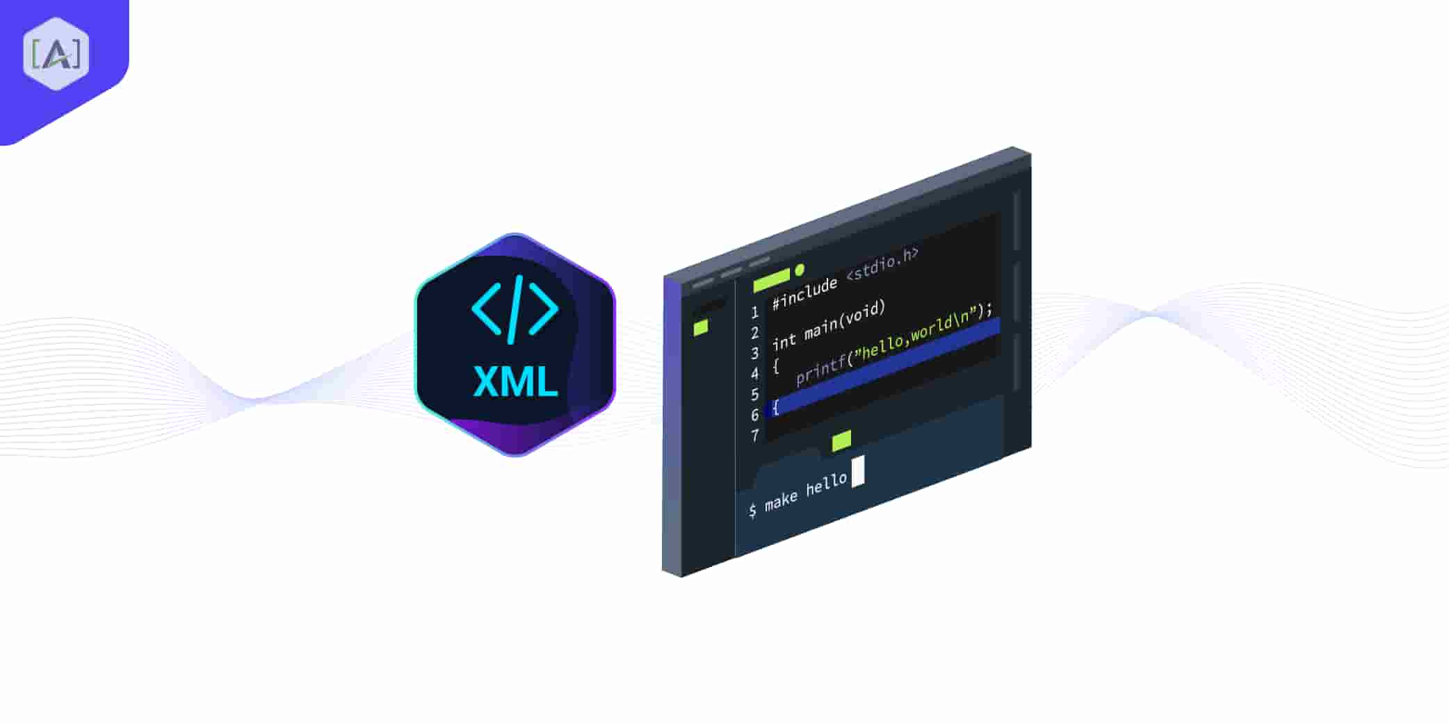 XML 